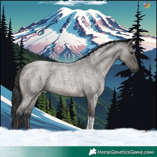 Horse Color:Grullo Roan Tobiano 