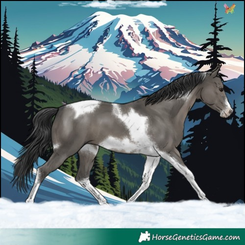 Horse Color:Grullo Tobiano Frame 