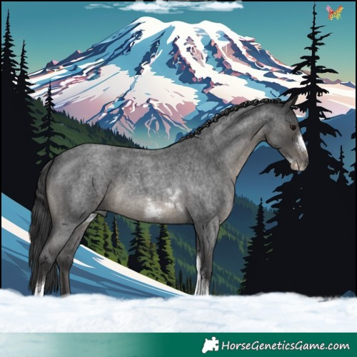 Horse Color:Blue Roan Tobiano Frame Rabicano 