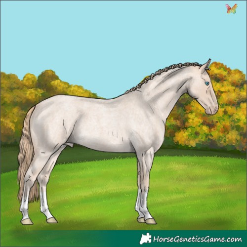 Horse Color:Perlino Roan 