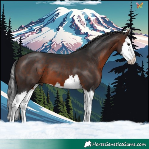Horse Color:Brown Splash 