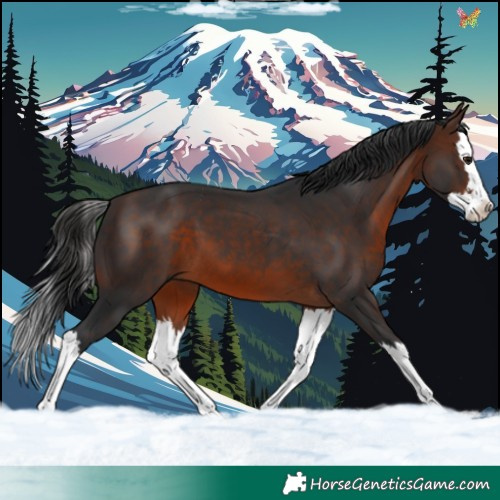 Horse Color:Brown Splash 