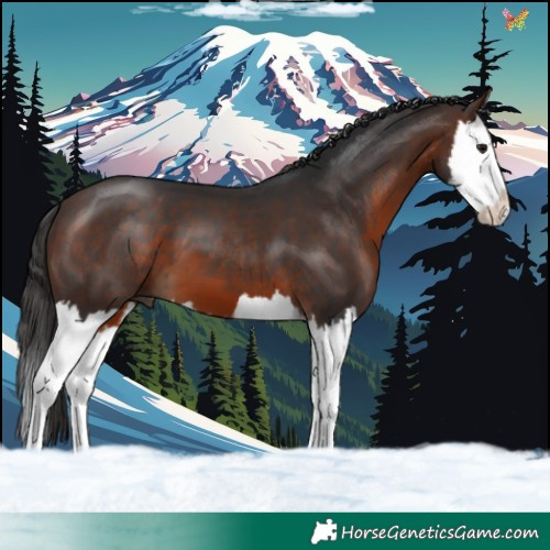 Horse Color:Brown Splash 