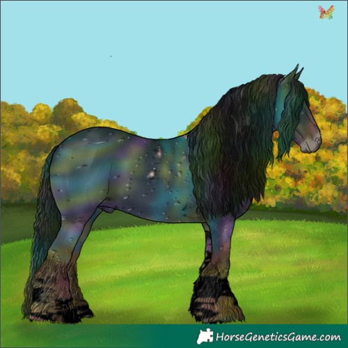 Horse Color:ERROR: UNKNOWN ANOMALY