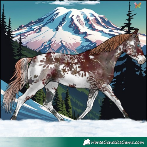 Horse Color:Watercolor White Spotted Midnight Liver Red Onyx Splash Tobiano 