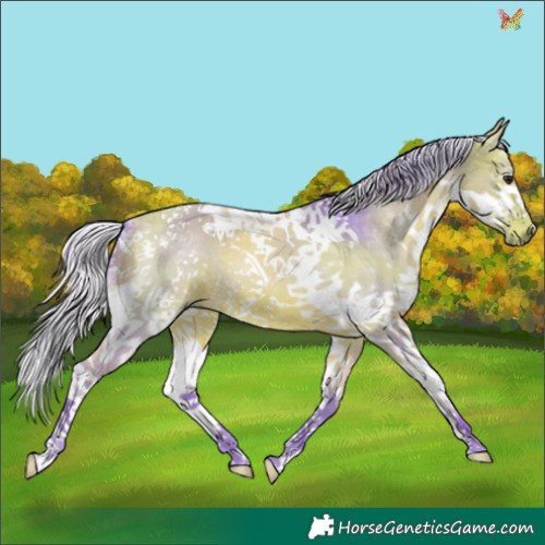 Horse Color:Watercolor Silver Bay Splash Tobiano 