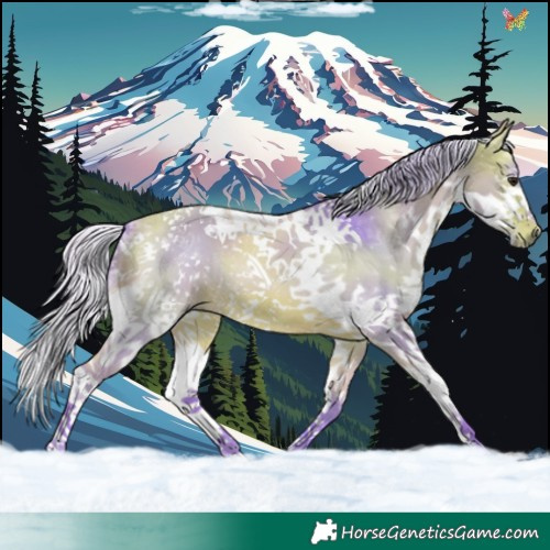 Horse Color:Watercolor Silver Bay Splash Tobiano 