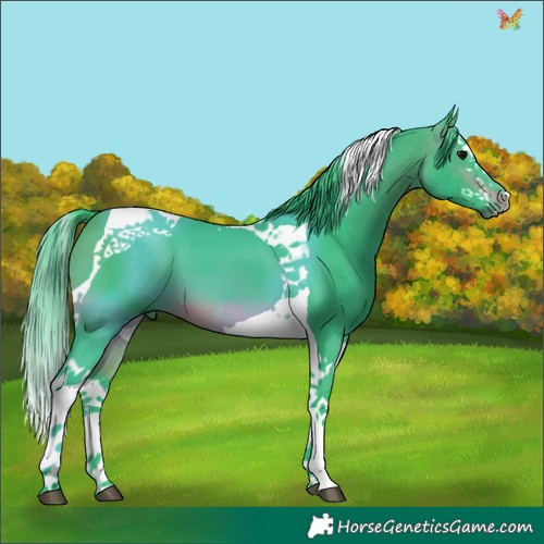 Horse Color:Watercolor Brown Splash Tobiano 