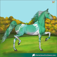 Horse Color:Watercolor Brown Splash Tobiano