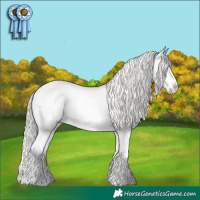 Horse Color:Silver Grullo Roan Splash Varnish 