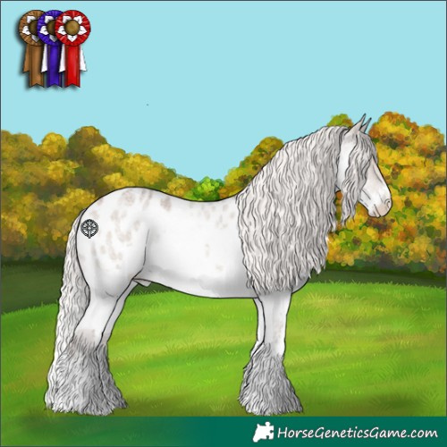 Horse Color:Silver Grullo Roan Splash Appaloosa 