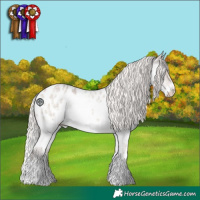 Horse Color:Silver Grullo Roan Splash Appaloosa 
