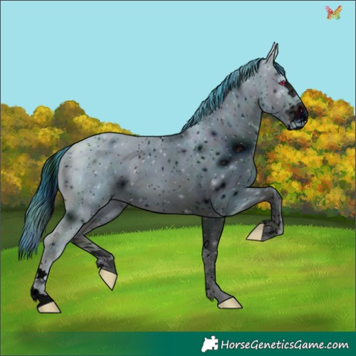 Horse Color:ERROR: UNKNOWN ANOMALY
