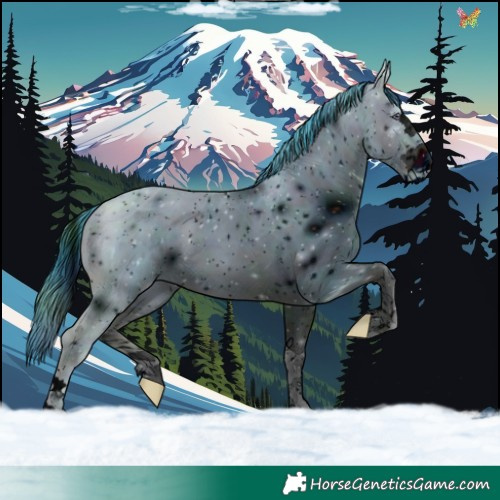Horse Color:ERROR: UNKNOWN ANOMALY