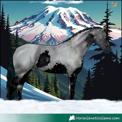 Horse Color:ERROR: UNKNOWN ANOMALY