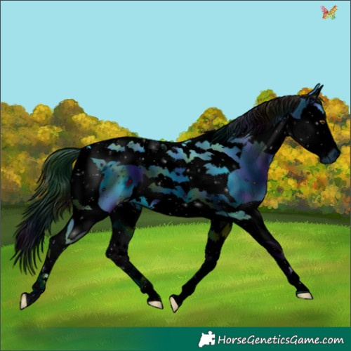 Horse Color:ERROR: UNKNOWN ANOMALY