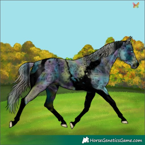 Horse Color:ERROR: UNKNOWN ANOMALY