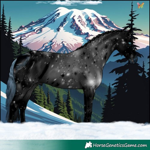 Horse Color:ERROR: UNKNOWN ANOMALY