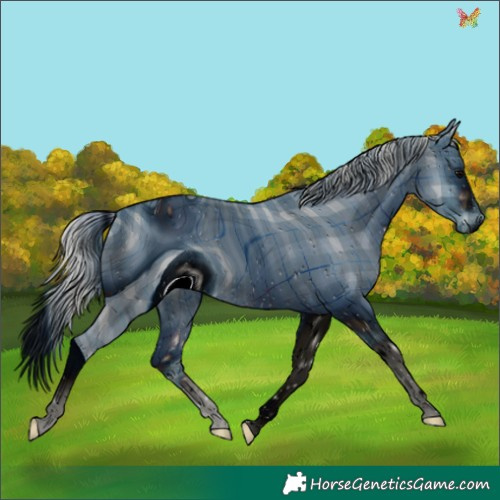 Horse Color:ERROR: UNKNOWN ANOMALY