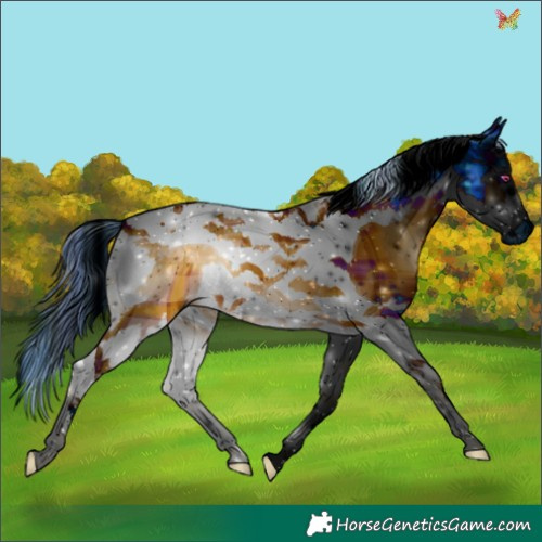 Horse Color:ERROR: UNKNOWN ANOMALY