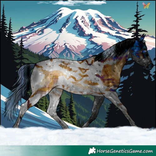 Horse Color:ERROR: UNKNOWN ANOMALY