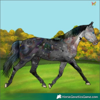 Horse Color:ERROR: UNKNOWN ANOMALY