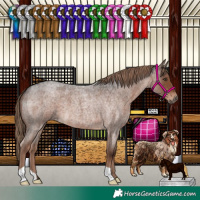 Horse Color:Liver Red Roan