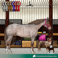 Horse Color:Liver Red Roan