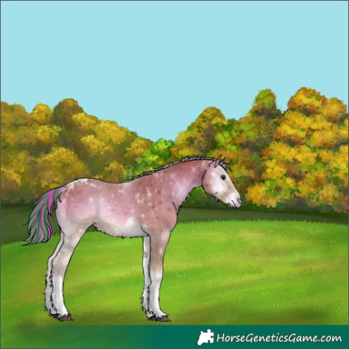 Horse Color:Painted Red Onyx Tobiano 