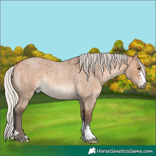 Horse Color:Silver Brown Roan Dun Rabicano 