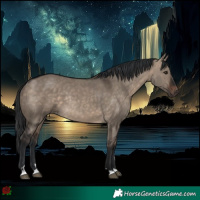Horse Color:Brown Dun Rabicano