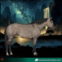 Horse Color:Brown Dun Rabicano 