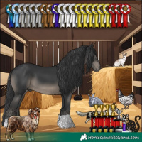 Horse Color:Black 