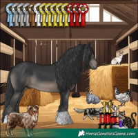 Horse Color:Black 