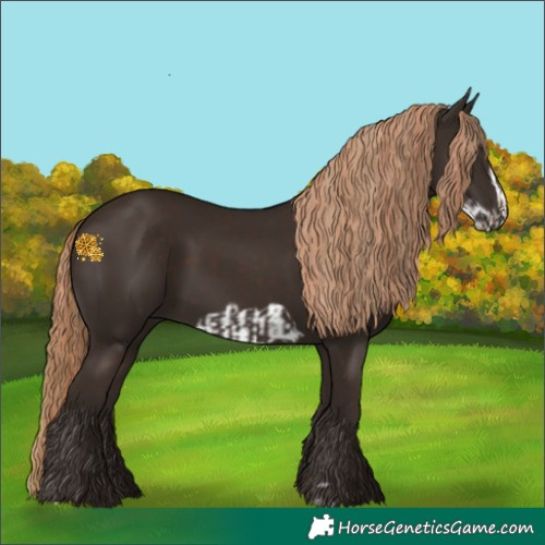 Horse Color:Liver Chestnut  and Liver Chestnut Frame 