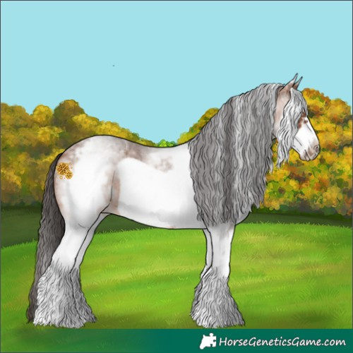Horse Color:White Spotted Bay Roan Frame 