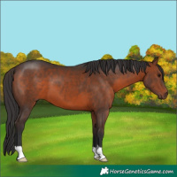 Horse Color:Brown 