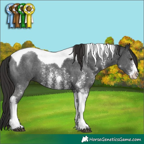 Horse Color:Liver Chestnut Sabino Tobiano 
