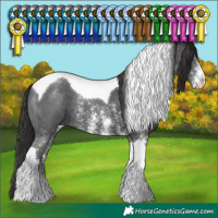 Horse Color:Liver Chestnut Sabino Tobiano 