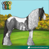 Horse Color:Liver Chestnut Sabino Tobiano 