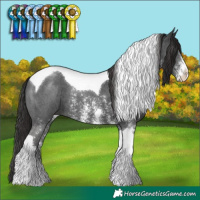 Horse Color:Liver Chestnut Sabino Tobiano 