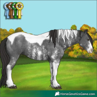 Horse Color:Liver Chestnut Sabino Tobiano 