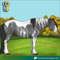 Horse Color:Liver Chestnut Sabino Tobiano 