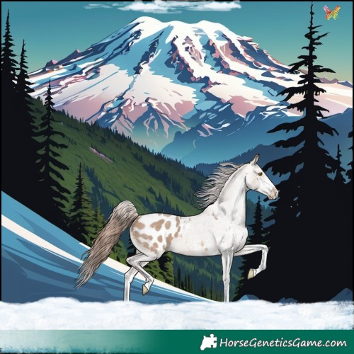 Horse Color:White Spotted Sable Champagne Blanket 