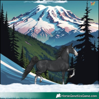Horse Color:White Spotted Black 