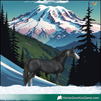 Horse Color:White Spotted Black 