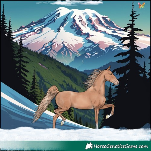 Horse Color:Gold Champagne Tobiano