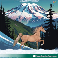 Horse Color:Gold Champagne Tobiano 