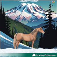 Horse Color:Gold Champagne Tobiano 