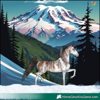 Horse Color:White Spotted Bay Splash 